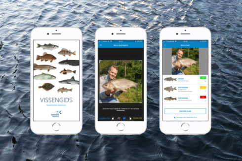 Makkelijker Vissen Herkennen Met Deze Visdeterminatieapp