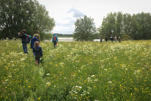 Rondje Zennewijnen – Ophemert (7,5 Km)