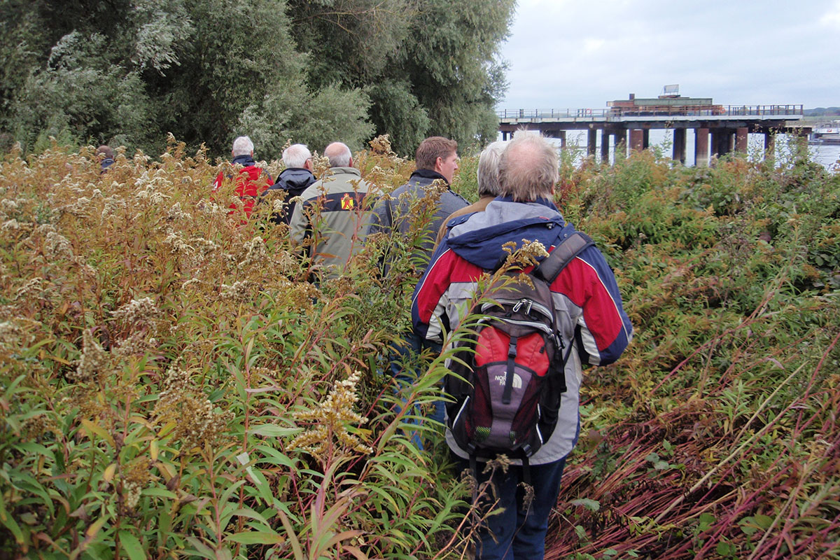 Excursie Uiterwaarden In De Herfst