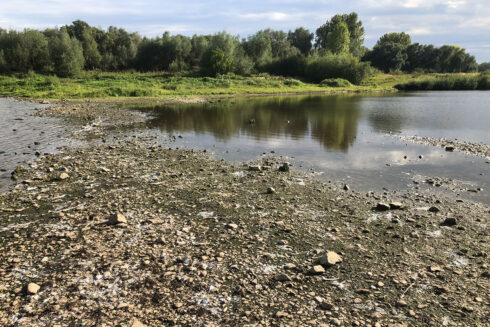 Struinen Bij De Grensmaas 3: Negenoord-Kerkeweerd