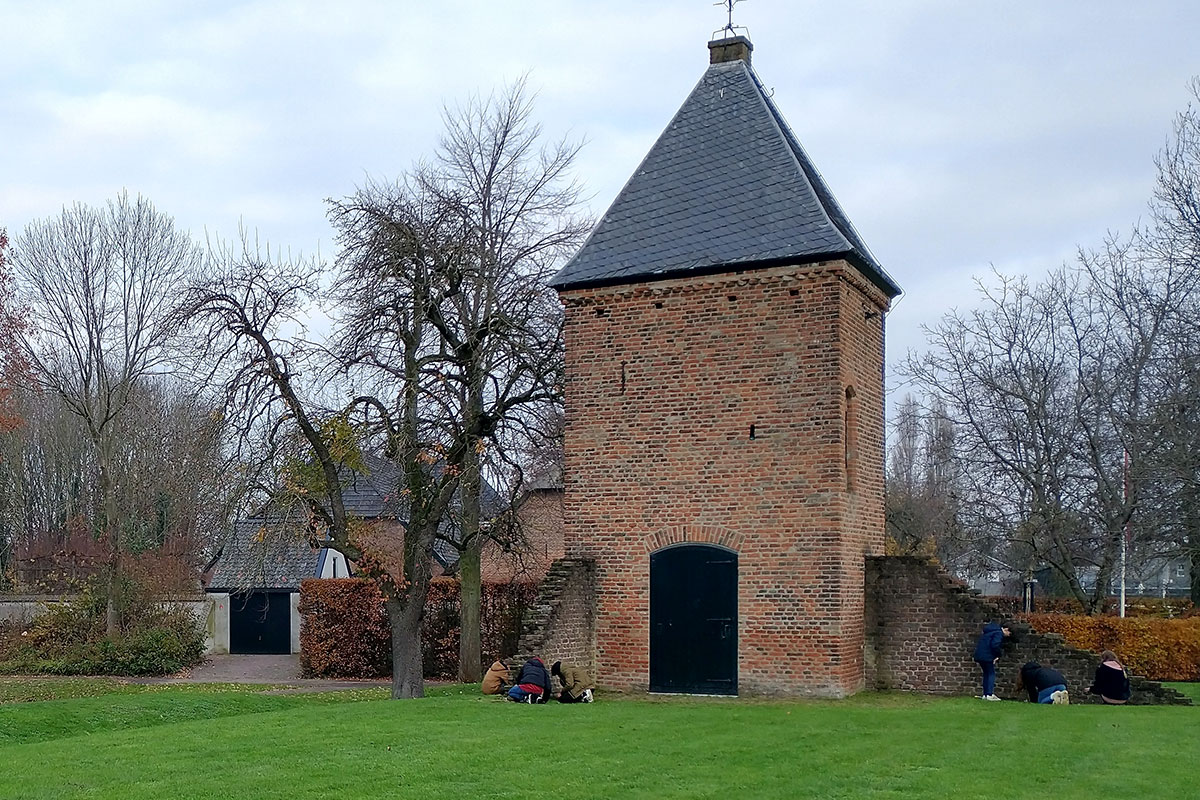 Waalwoemi: Krokussen Planten En Gratis Bollen