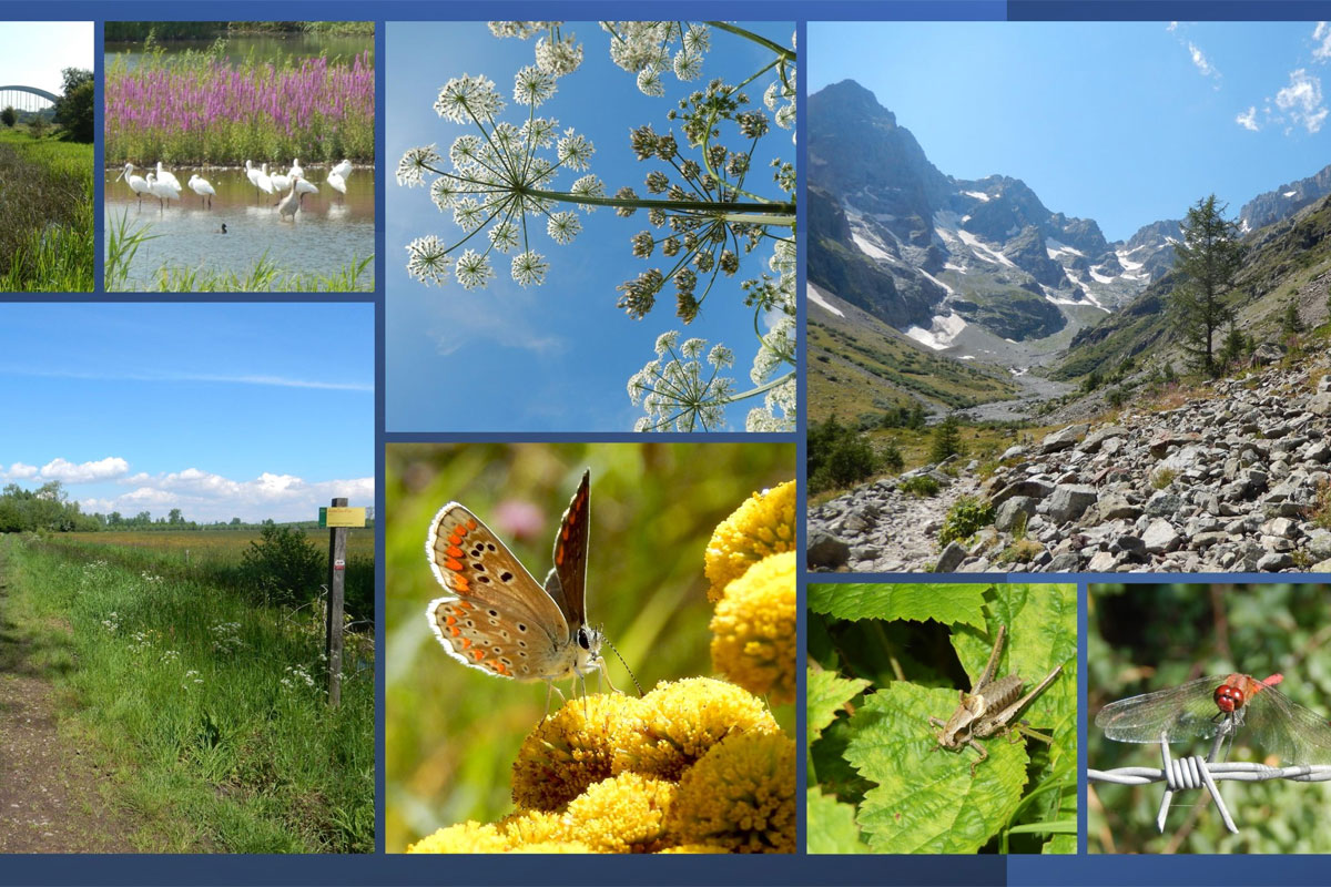 NVWC-lezing: Natuur Dichtbij En Ver Weg