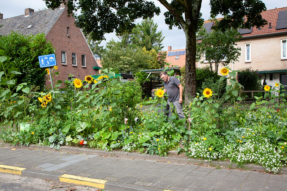 Opening Zadenbieb In Bibliotheek Beuningen