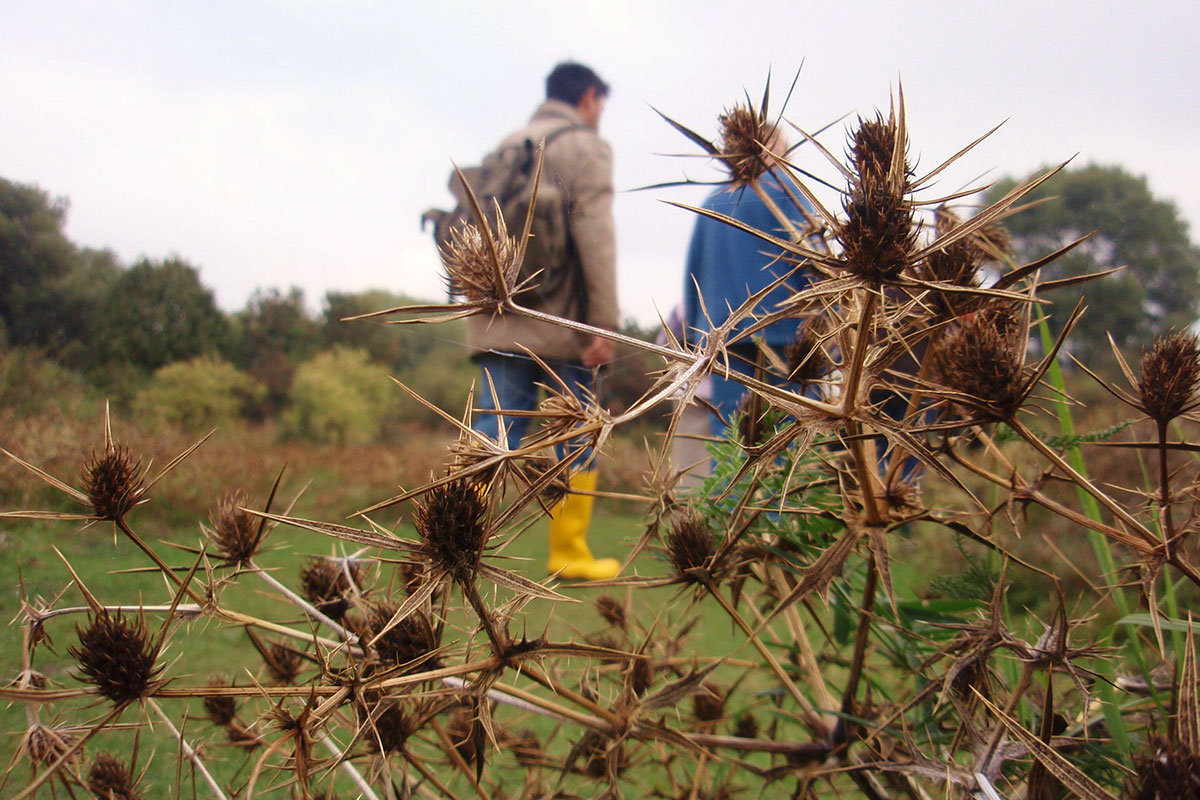 Excursie Weurtse Uiterwaarden Toen En Nu