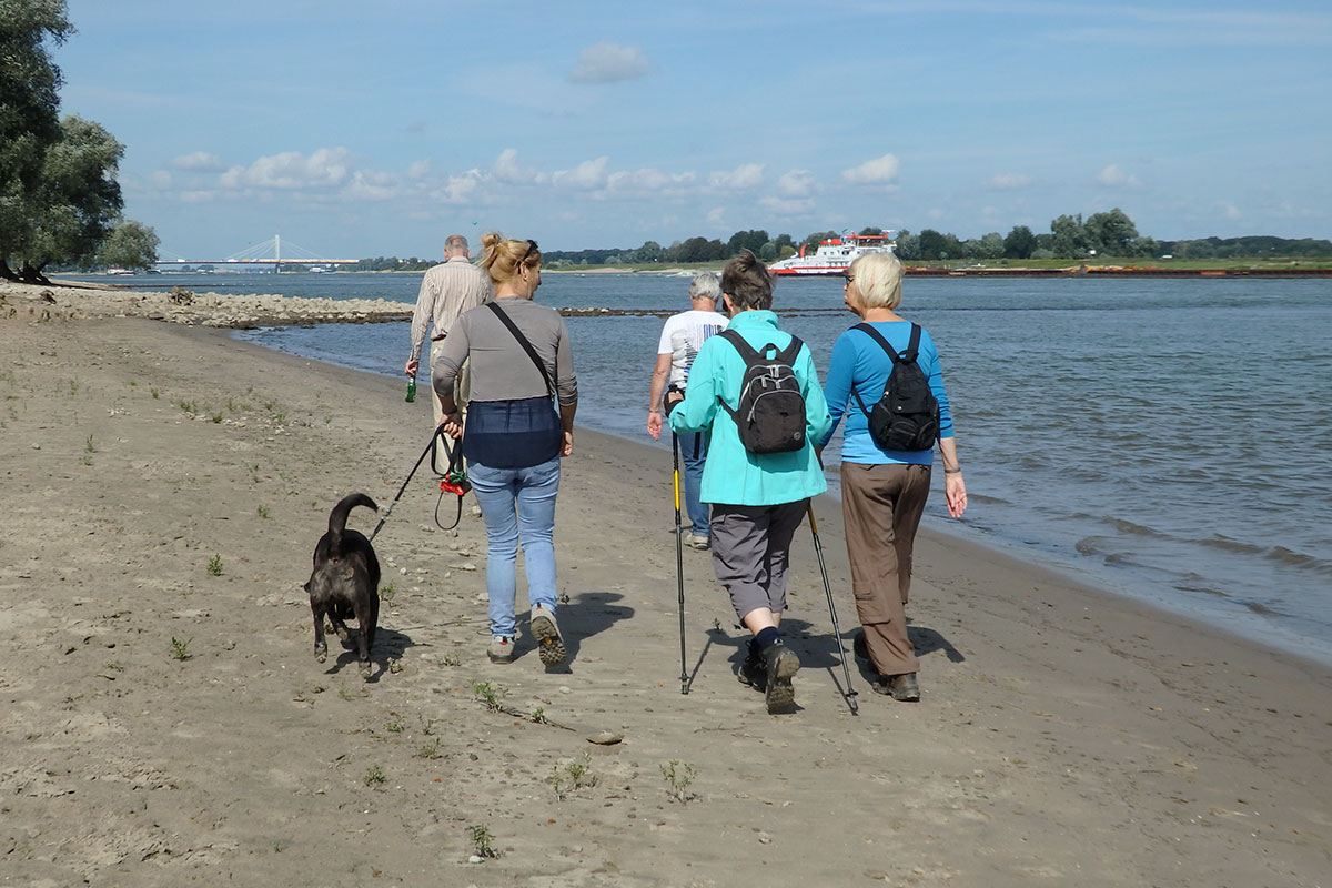 Excursie Zwerfstenen Aan De Waal