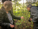 Podcast: De Paddenstoelen Van West Betuwe