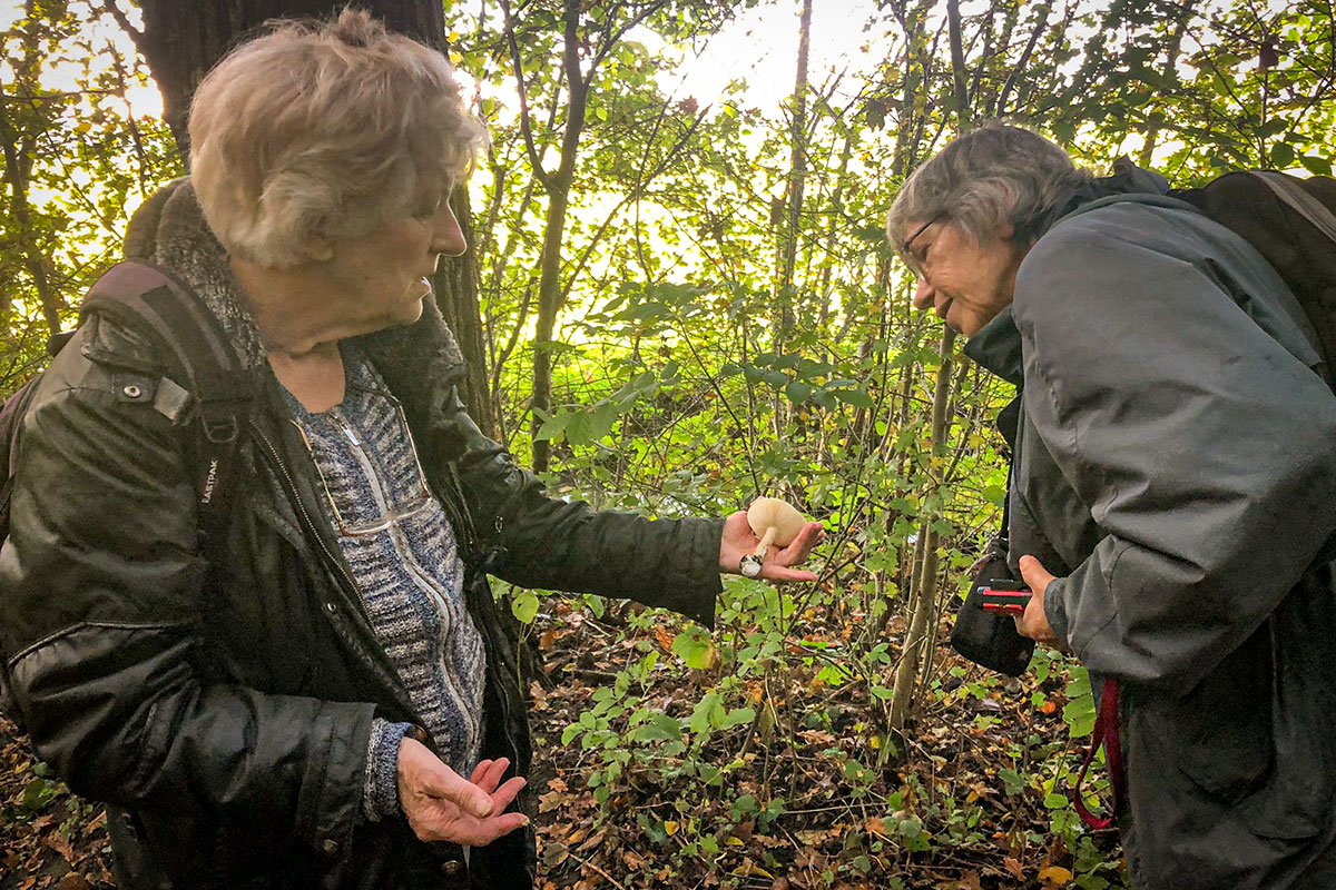 Podcast: de paddenstoelen van West Betuwe