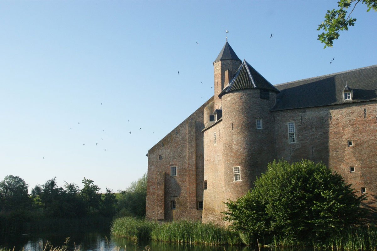 Lezing: Het Leven Van De Gierzwaluw Door Bert Vos